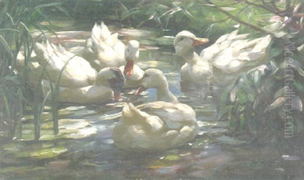 Enten In Einem Teich, Der Von Dichtem Schilf Umgeben Ist Oil Painting by Alexander Max Koester