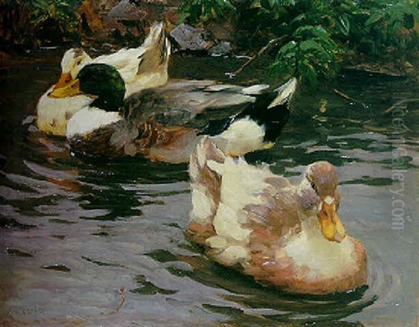 Drei Enten Nahe Dem Ufer Oil Painting by Alexander Max Koester