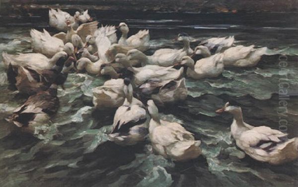 Dreiundzwanzig Enten Am Wasser Oil Painting by Alexander Max Koester