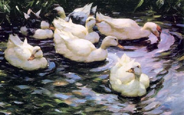 Ducks Swimming In A Sunlit Lake Oil Painting by Alexander Max Koester