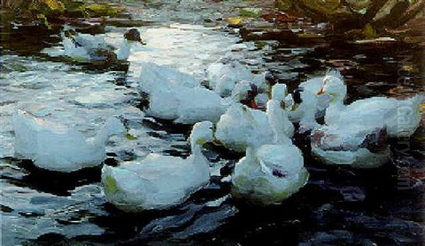 Enten Auf Einem Teich Oil Painting by Alexander Max Koester