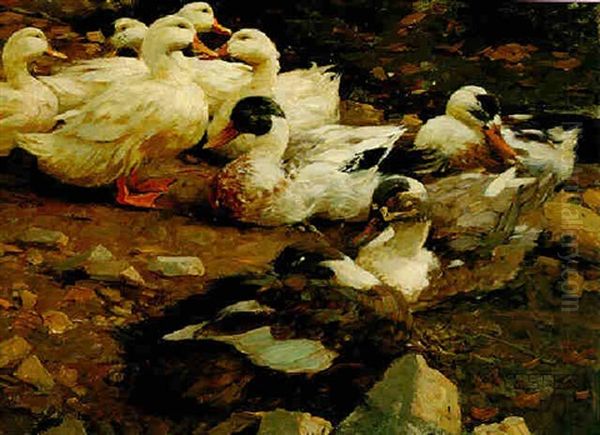 Neun Enten Oil Painting by Alexander Max Koester