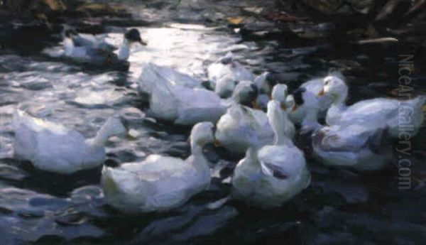 Zehn Weise Enten Auf Dem Wasser Oil Painting by Alexander Max Koester