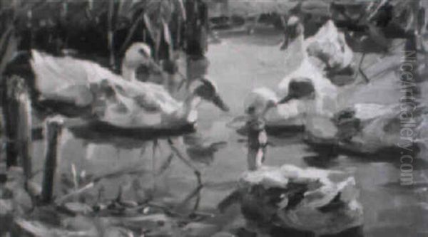 Sechs Enten Auf Einem Teich Oil Painting by Alexander Max Koester