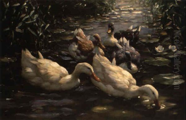 Funf Enten Im Seerosenteich Oil Painting by Alexander Max Koester