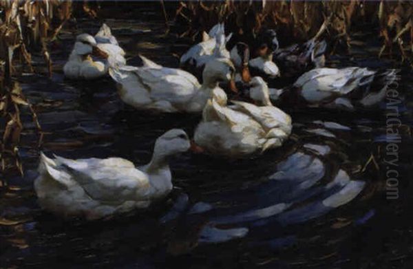 Die Enten In Die Marsch Oil Painting by Alexander Max Koester