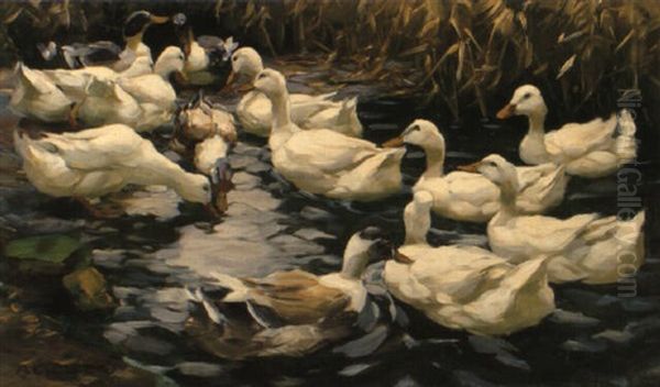 Enten Im Schilfteich, Diesen Oil Painting by Alexander Max Koester