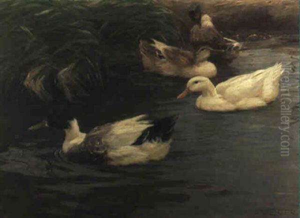 Vier Enten Auf Dem Wasser Oil Painting by Alexander Max Koester