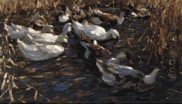 Enten Im Herbstschilfwasser Oil Painting by Alexander Max Koester