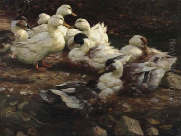 Neun Ruhende Enten Oil Painting by Alexander Max Koester