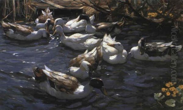 Zehn Enten Im Schilf Oil Painting by Alexander Max Koester