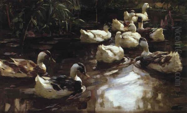 Zehn Enten Im Teich Oil Painting by Alexander Max Koester