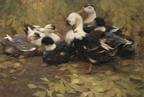 Sechs Enten Im Herbstlaub Oil Painting by Alexander Max Koester