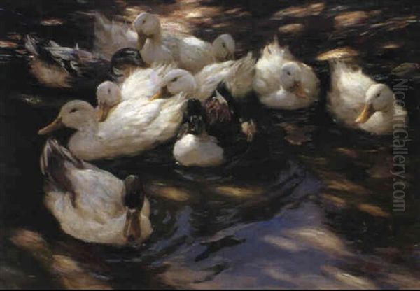 Enten In Morgenssonne Oil Painting by Alexander Max Koester