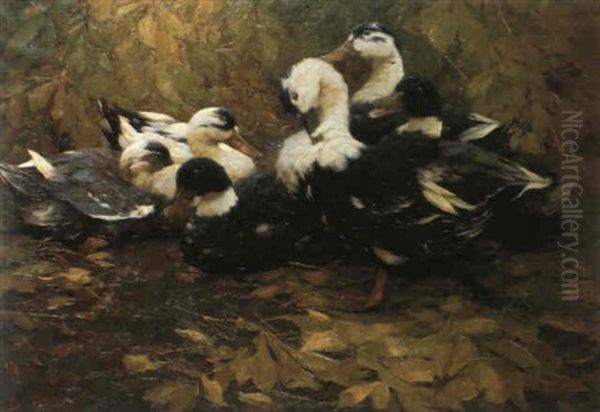 Canards Dans Les Feuillages Oil Painting by Alexander Max Koester