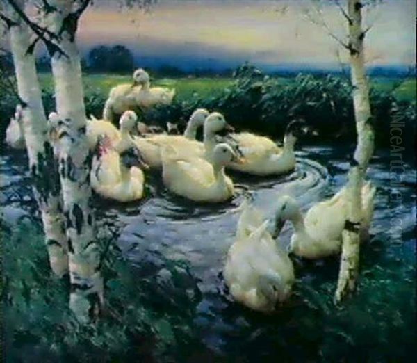 Dreizehn Enten Im Teich Unter Birken Oil Painting by Alexander Max Koester