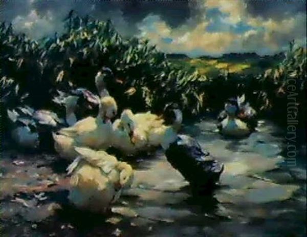 Sieben Enten Im Schilfwasser Oil Painting by Alexander Max Koester