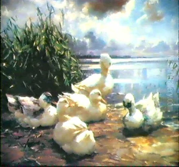 Funf Enten Am Seeufer Oil Painting by Alexander Max Koester