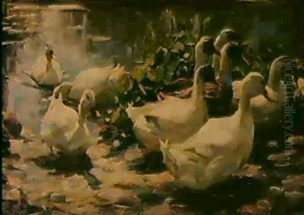 Heimkehrende Enten Oil Painting by Alexander Max Koester