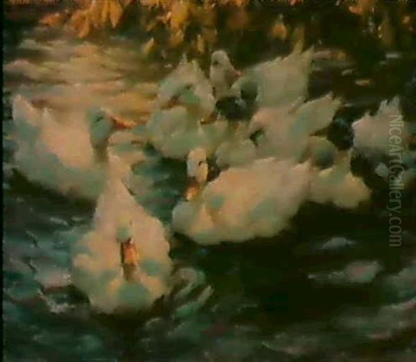 Funf Enten Am Seeufer Oil Painting by Alexander Max Koester