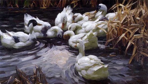 Entenschwarm Mit 8 Enten Am Herbstlichen Teichufer Vor Dem  Schilfgurtel Oil Painting by Alexander Max Koester