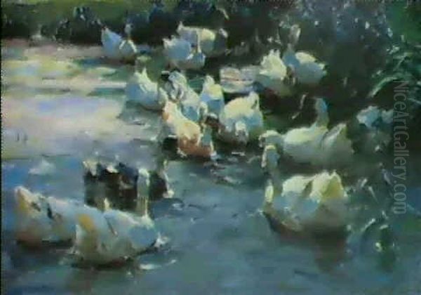 Sechzehn Enten Im Schifwasser Oil Painting by Alexander Max Koester