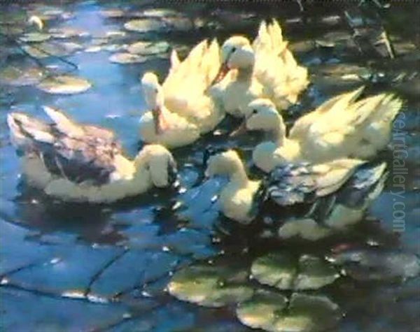 Funf Enten Im Seerosenteich Oil Painting by Alexander Max Koester