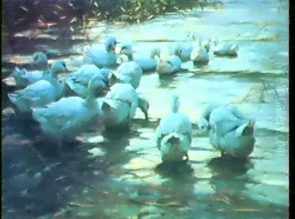 Enten In Flachem Schilfwasser Oil Painting by Alexander Max Koester