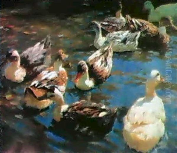 Neun Enten Auf Einem Teich Oil Painting by Alexander Max Koester