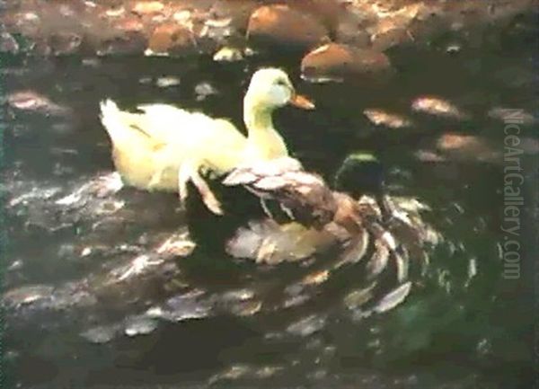 Erpel Und Ente Auf Dem Wasser Oil Painting by Alexander Max Koester