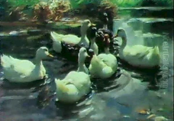 Sieben Enten Im Teich Oil Painting by Alexander Max Koester