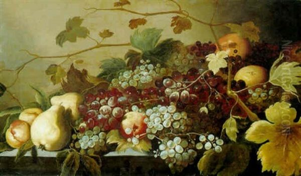 Grapes, Peaches And Pears On A Ledge Oil Painting by Roelof Koets the Elder