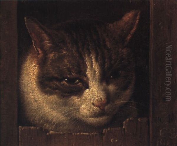 A Cat Peeping Through A Fence Oil Painting by Roelof Koets the Elder