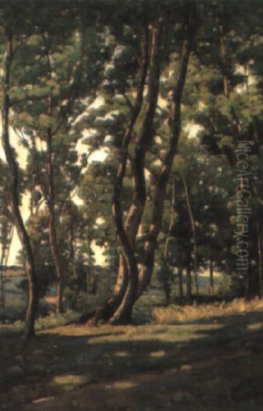 Trois Arbres A L'oree Oil Painting by Achille Koetschet