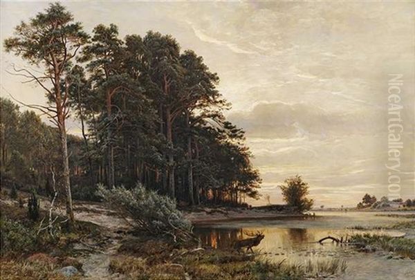 Abendstimmung An Einem See Am Waldrand Oil Painting by Paul Koken