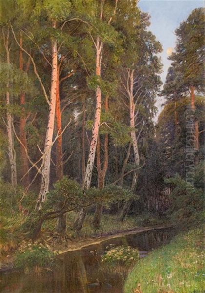 Birken Am Waldbach Oil Painting by Paul Koken