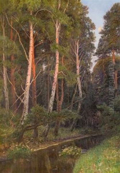 Birken Am Waldbach Oil Painting by Paul Koken