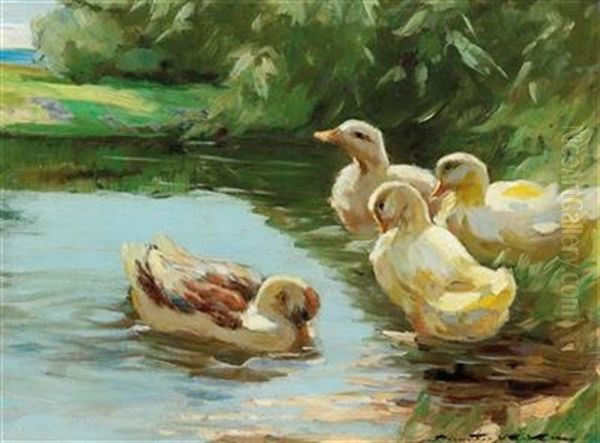 Enten Im Wasser [ducks In The Water) Oil Painting by Demeter Koko