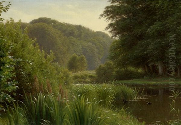 Idyllische Teichlandschaft Mit Enten Oil Painting by Anton (Claus) Kolle