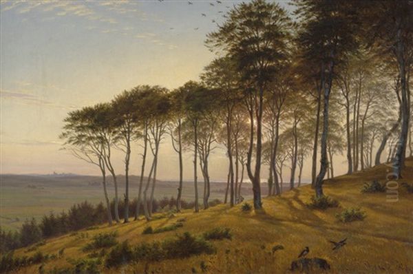 Wald Von Vinderod Auf Seeland Am Spaten Nachmittag by Anton (Claus) Kolle