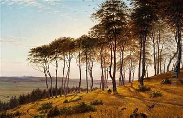 Sunshine Through The Trees, Vinderod Forest Oil Painting by Anton (Claus) Kolle