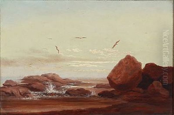 Coastal Scape With Large Rocks And Seagulls Oil Painting by Anton (Claus) Kolle