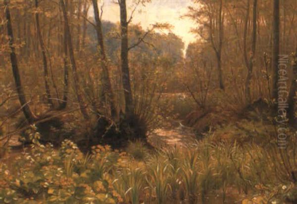 A Woodland Pool Oil Painting by Anton (Claus) Kolle