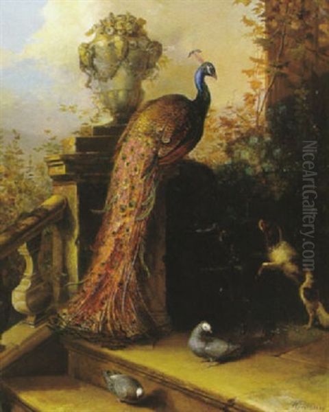 A Peacock On A Banister With A Spaniel Barking By A Chair And Objects And Two Pigeons On The Stairs Nearby Oil Painting by Johann Rudolf Koller