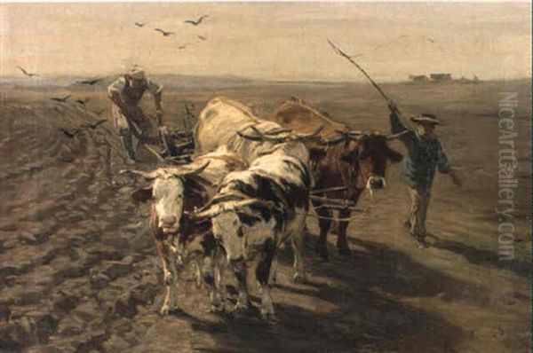 Pfl_gende Ochsen Oil Painting by Johann Rudolf Koller