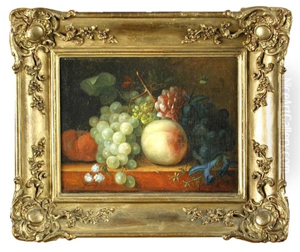 Still Life Of Peaches, Grapes And An Apple On A Ledge Oil Painting by Elisabeth Johanna Koning