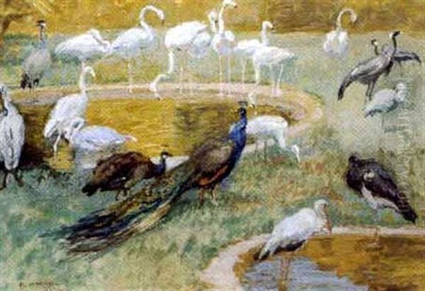 Pfau, Reiher Und Ein Storch Oil Painting by Rudolf Konopa