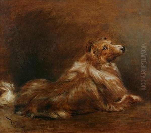 Collie (+ A Portrait Of A Woman, Verso) Oil Painting by Joszi Arpad Koppay