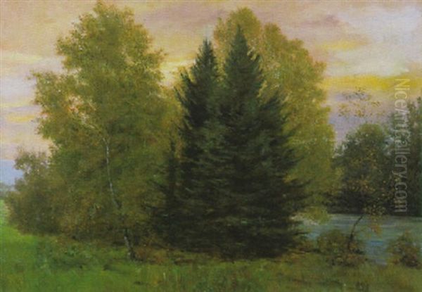 Birken Und Tannen Oil Painting by Julius Kornbeck