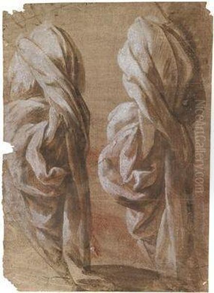 Drapery Studies Oil Painting by Domenico Beccafumi